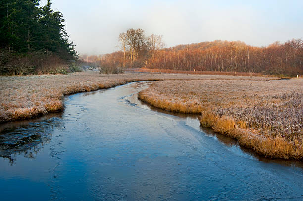 A slough on Lummi Island in the Puget Sound area of western Washington, USA.