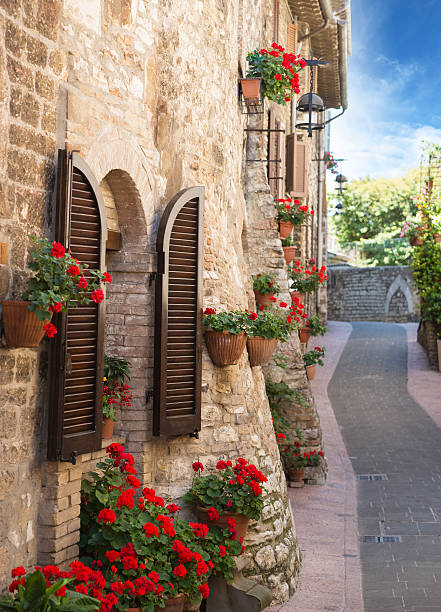 istock Alley with flowers 503494869