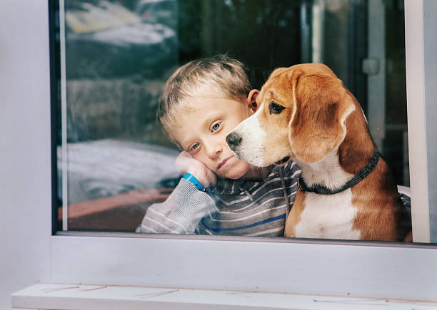 istock Sorrow little boy with best friend looking through window 503495127