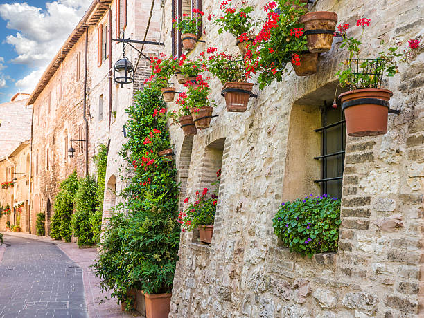 istock Alley with flowers 503495597