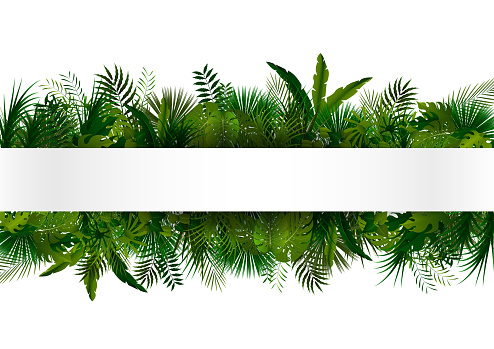 vector illustration of Tropical foliage. Floral design background