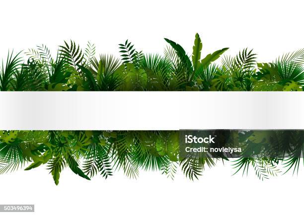 Tropical Foliage Floral Design Background Stock Illustration - Download Image Now - Tropical Rainforest, Plant, Leaf