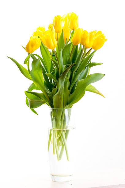 istock bouquet of tulips on a white background 503507016