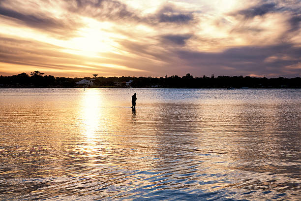 mandurah ao pôr-do-sol - estuary - fotografias e filmes do acervo