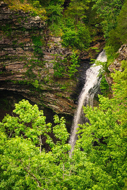 Petit Jean State Park Petit Jean State Park mark twain national forest missouri stock pictures, royalty-free photos & images