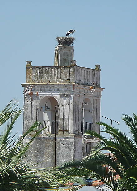 istock Storks on a bell in Zafra, Spain 503512114