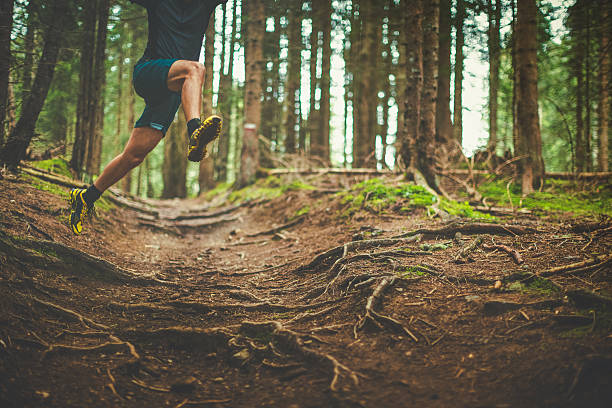 istock Trail running in the forest: jumping roots 503514238