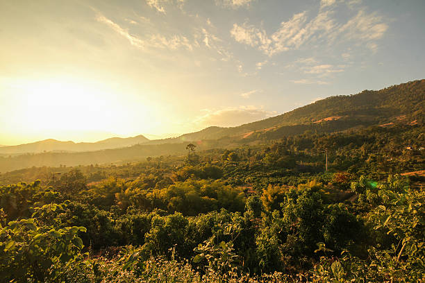 istock Doi Phu Lang Ka Phayao Thailand 503514372