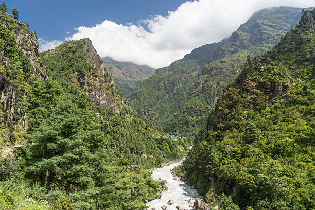istock Everest region forest and river 503516556