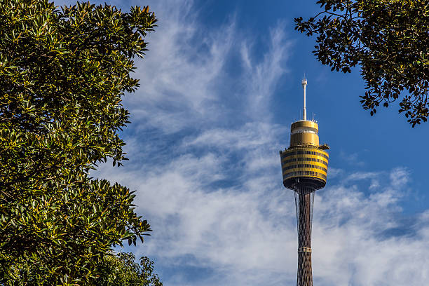 tour de sydney - sydney australia australia new south wales lookout tower photos et images de collection