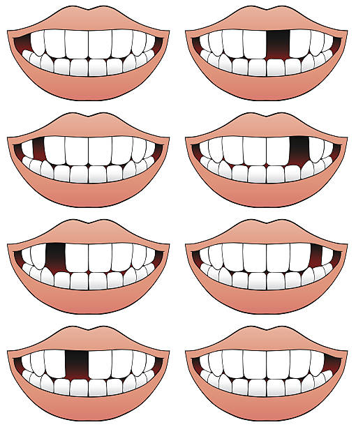 Human Teeth Animal Teeth Cartoon Dental Hygiene Illustrations, Royalty-Free  Vector Graphics & Clip Art - iStock