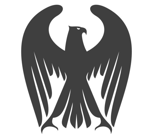 majestatyczny eagle lub falcon z długie skrzydło pióra - peregrine falcon stock illustrations