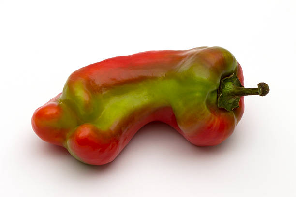 istock Giant sweet pepper ripening 503523157