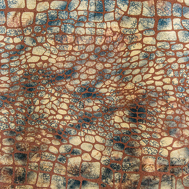 istock texture of snake skin 503523767
