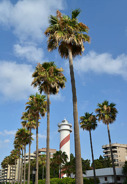 istock Marbella, Costa del sol Spain. 503523963