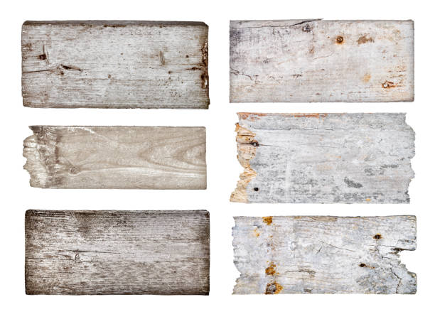 istock vintage wooden signs on the rope on an isolated white background 503525607