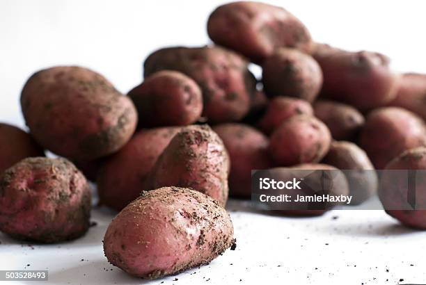 Home Grown Patate - Fotografie stock e altre immagini di Patata rossa - Patata rossa, Terreno, Alimentazione sana