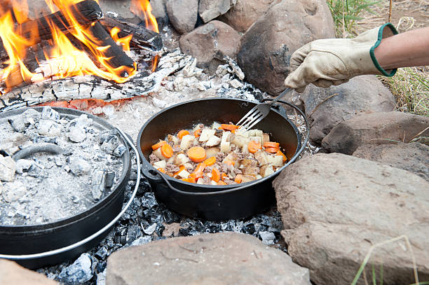 Verificar holandês forno Cozinha - fotografia de stock