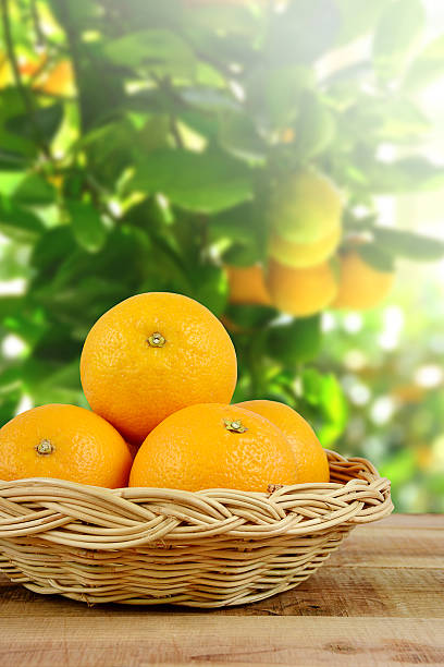 istock Oranges fruit in basket on wooden. 503531658