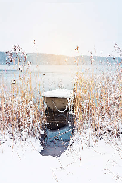istock Beautiful winter landscape at the lake 503532306