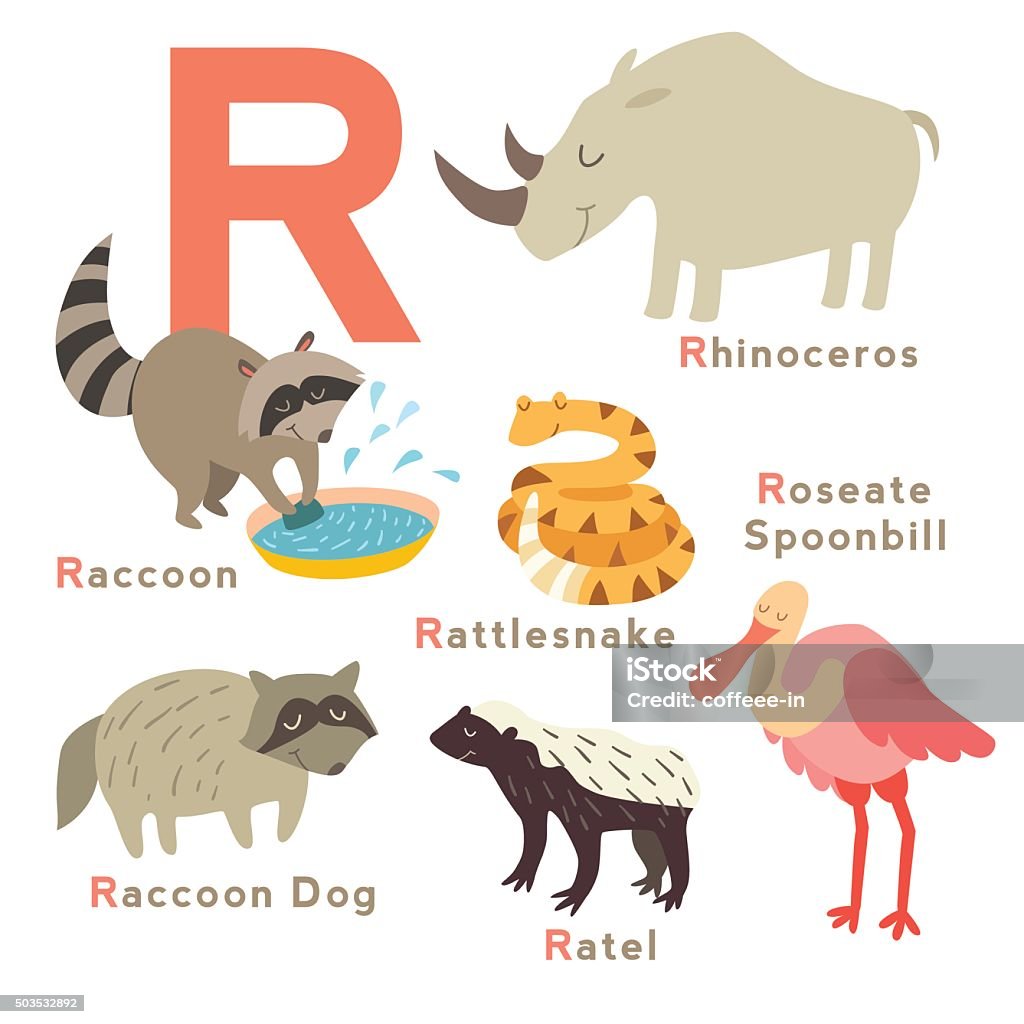 R Letter Animals Set English Alphabet Vector Illustration Stock  Illustration - Download Image Now - iStock