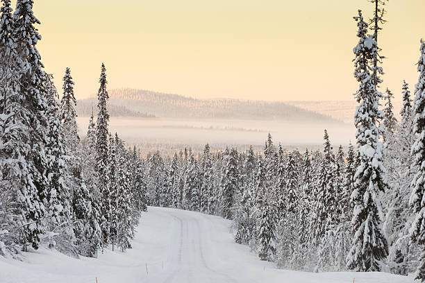 istock Snow landscape at Finland 503536388