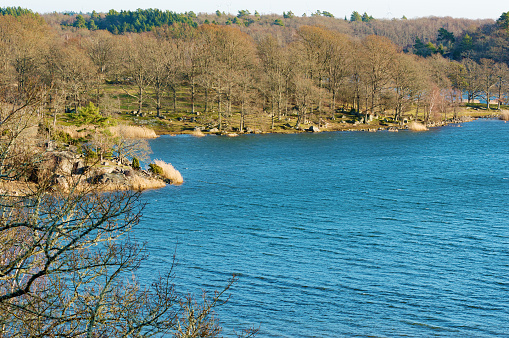 Landscape or seascape as seen from the Eriksberg nature reserve outside Karlshamn, Sweden. It is late December, trees are bare and the weather is clear. The Baltic sea is calm.