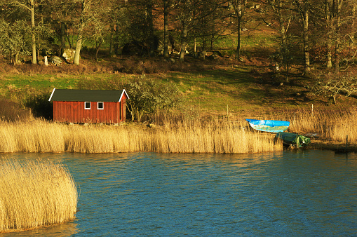 A small red wooden boathouse situated among the reeds near the water. Forest mix with farmers fields in background. As seen in late December from Eriksberg nature reserve in Blekinge, Sweden.