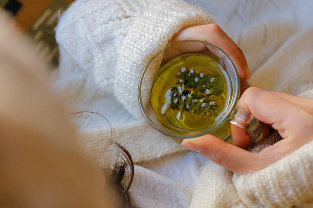istock Sage tea with woman hand 503538086