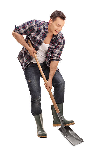 istock Young farmer digging with a shovel 503538622