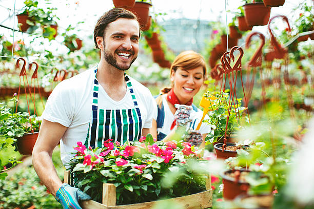 istock Young People Working At Plant Nursery 503538926