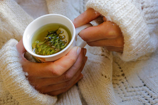 istock Sage tea with woman hand 503539364