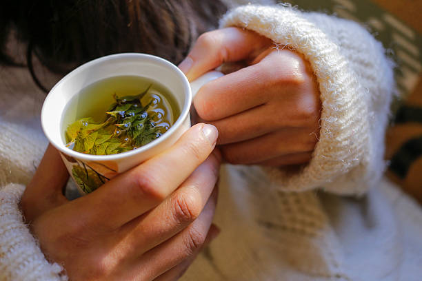 istock Sage tea with woman hand 503539590