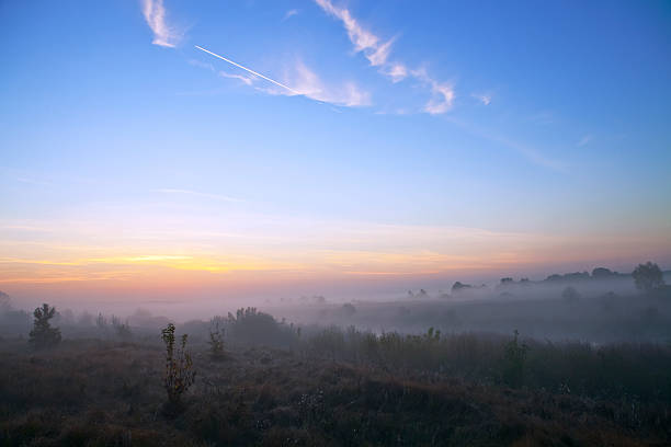 istock Dawn in the meadow 503540080