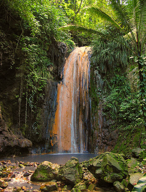 ダイヤモンドの滝、セントルシア、カリブ海。 - st lucia antilles eco tourism tourism ストックフォトと画像