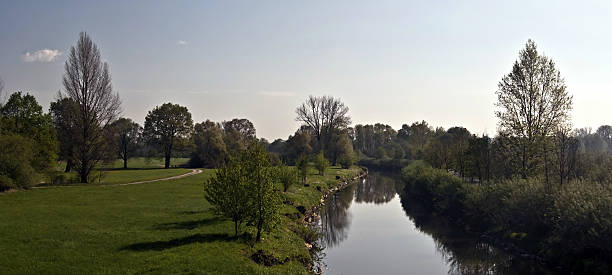 istock spring meadow with isolated trees and Odra river in Poodri 503541434
