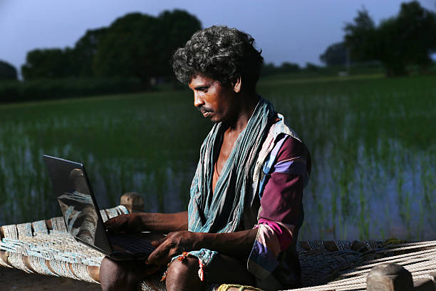 giovane agricoltore, mentre usa un computer portatile - developing countries farmer rice paddy asia foto e immagini stock