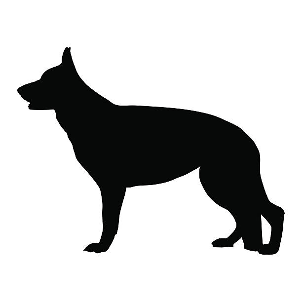 ilustraciones, imágenes clip art, dibujos animados e iconos de stock de negra silueta de perro pastor alemán. ilustración vectorial - german sheppard