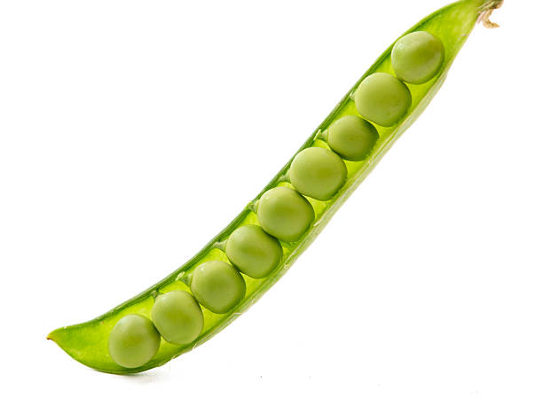 vagem de ervilhas - green pea pea pod salad legume imagens e fotografias de stock