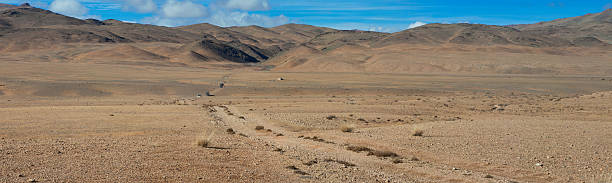 istock The road in the desert 503545446
