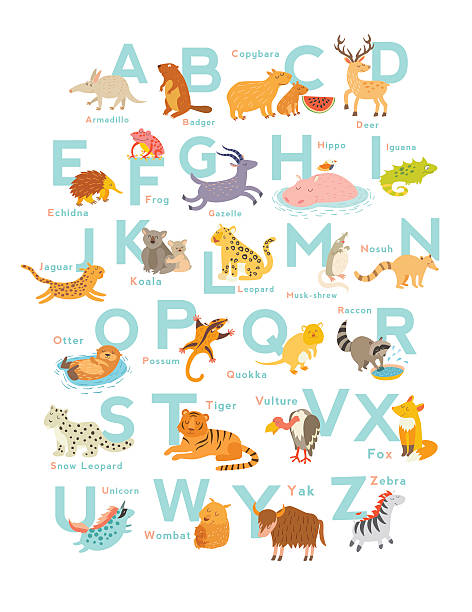 귀여운 벡터 동물원 알파벳. 말풍선이 있는 재미있는 동물 - computer graphic multi colored zoo single word stock illustrations