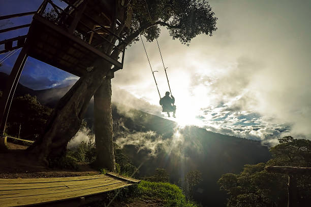 happy tourist mann schwingen auf einer schaukel, tree house - arbol stock-fotos und bilder