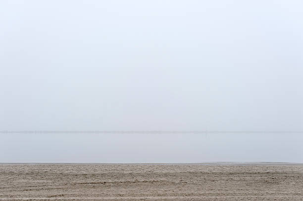 istock Beach on a foggy winter day 503556844