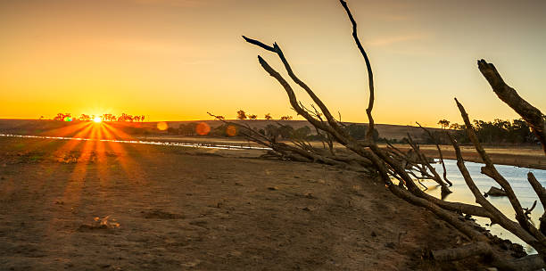 istock Early morning on Lake Eppalock 503556940