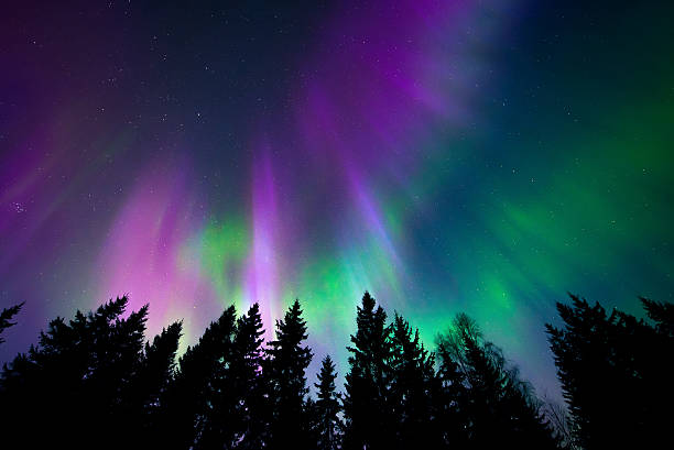 bunte northern lights - aurora borealis aurora polaris lapland finland stock-fotos und bilder