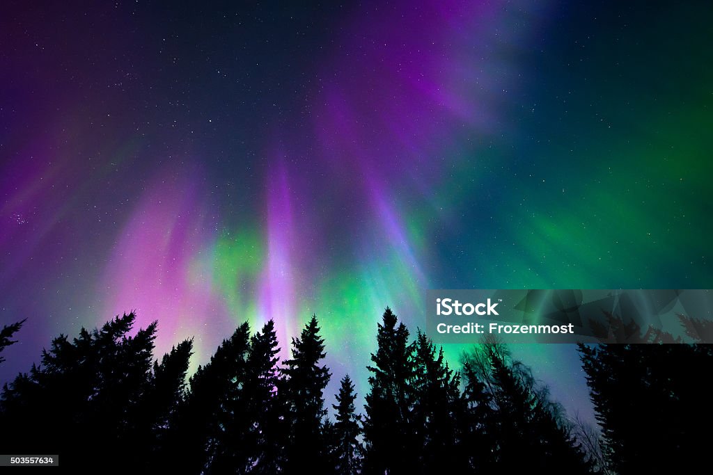 Colorful northern lights Beautiful northern lights in the sky above trees Aurora Borealis Stock Photo