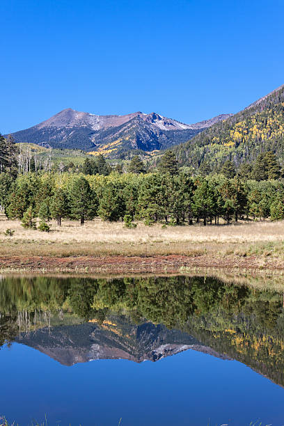 Lockett Meadow Fall Reflection stock photo