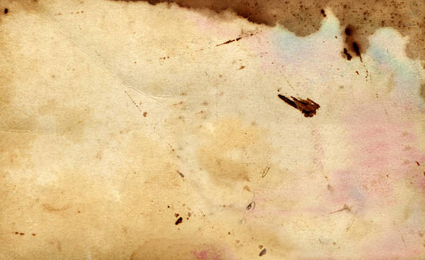 istock Old photo paper background 503560148
