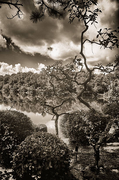 Japanese Garden and Lake stock photo