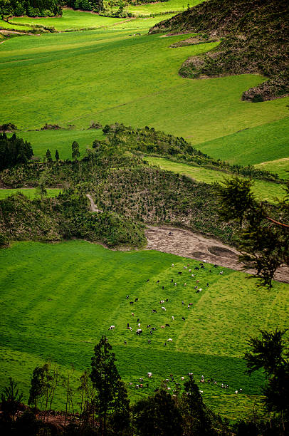 Farming in the Volcano #2 stock photo